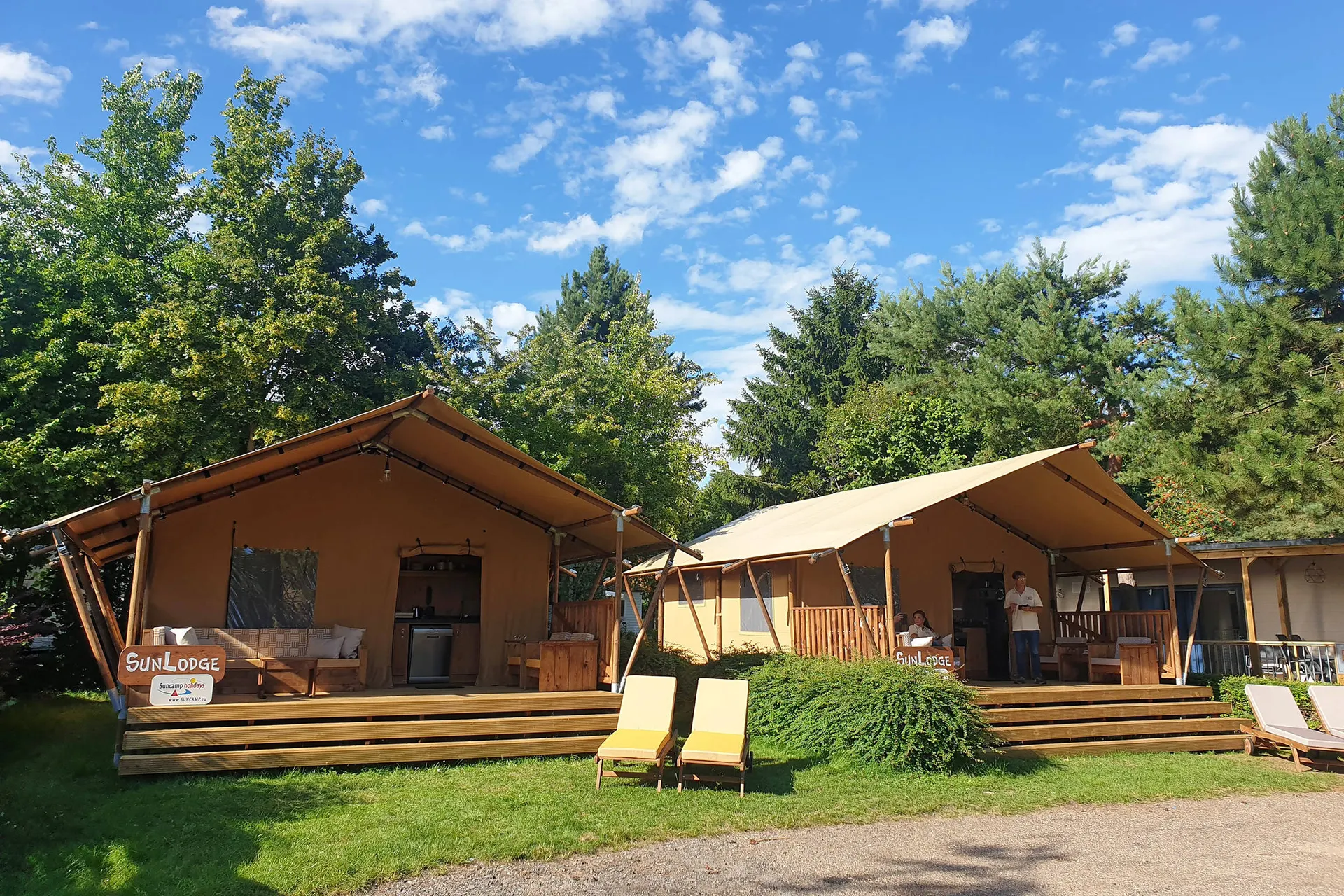 Yucca - Vooraanzicht (impressie)