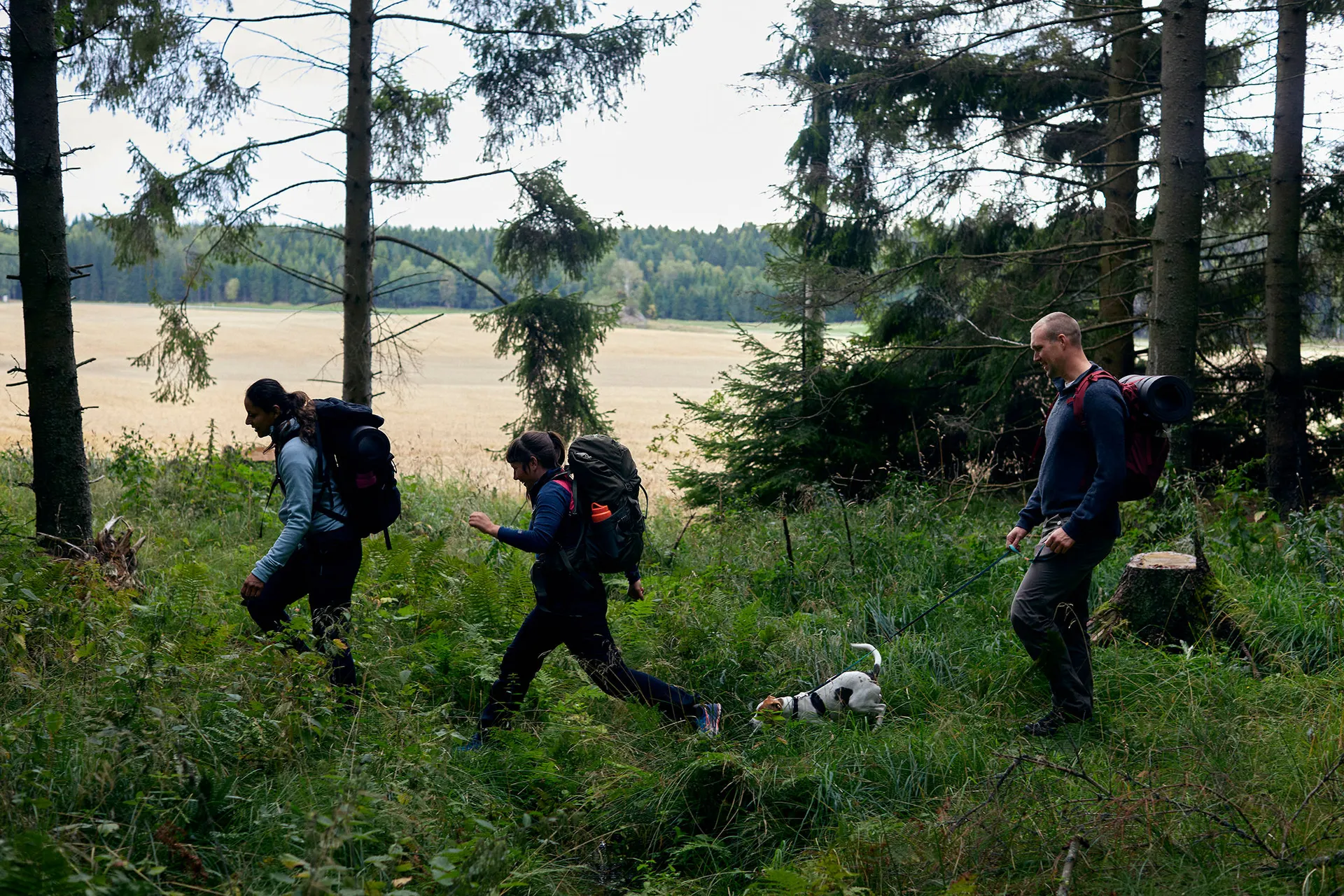 Boswandeling - Foto: Lindsten & Nilsson