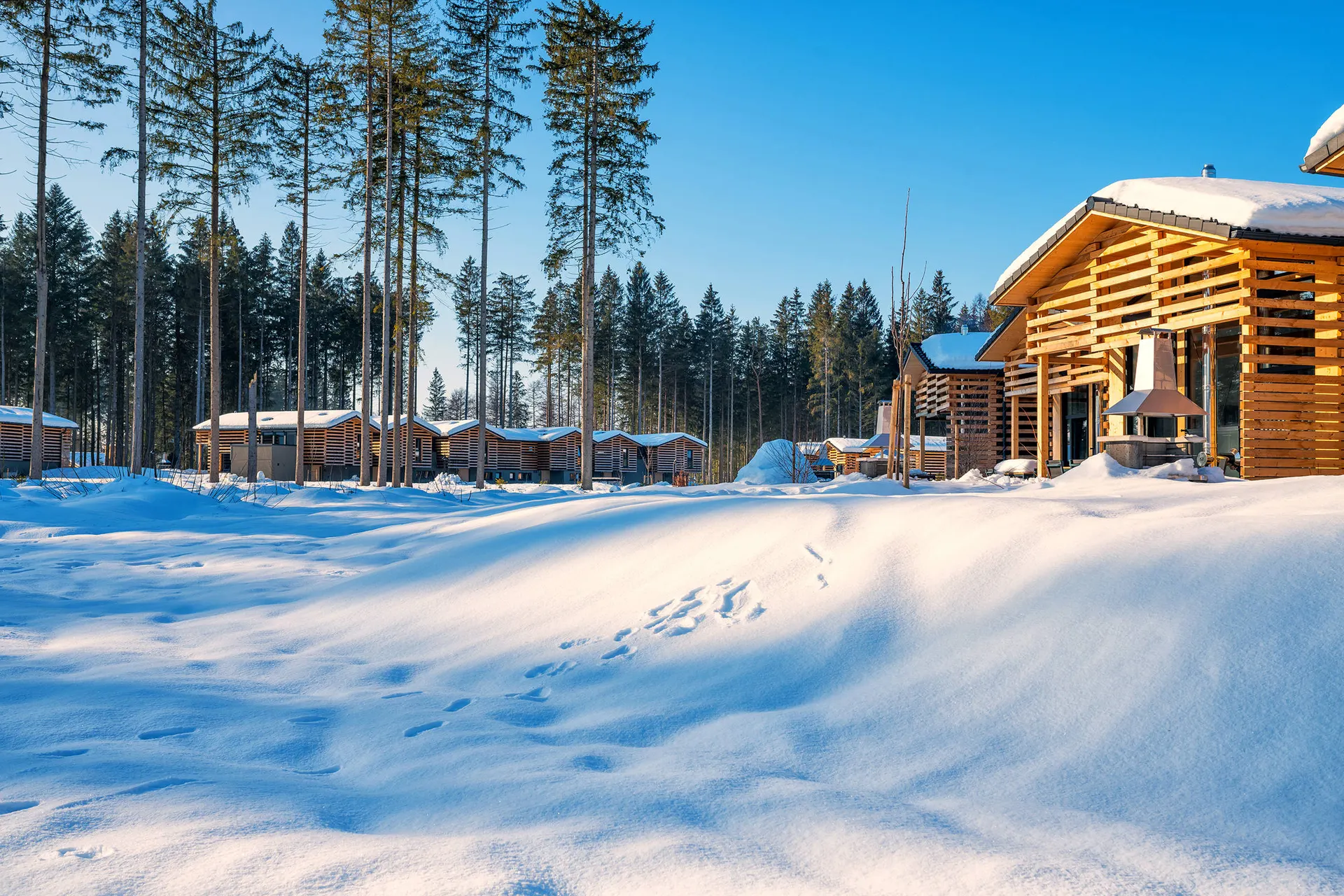 Online bestellen: Vakantiepark Center Parcs Park Allgäu