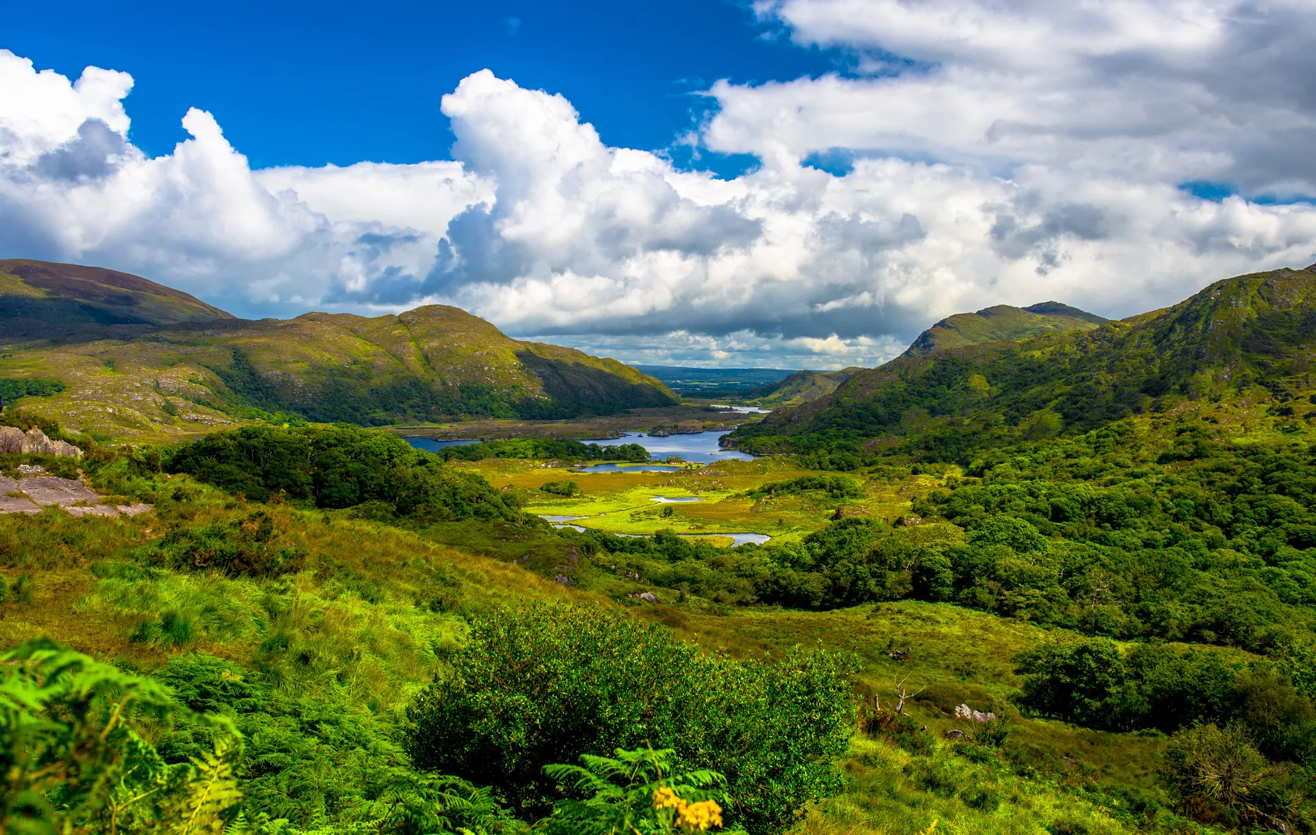Ontdek de County Kerry vanuit Tralee