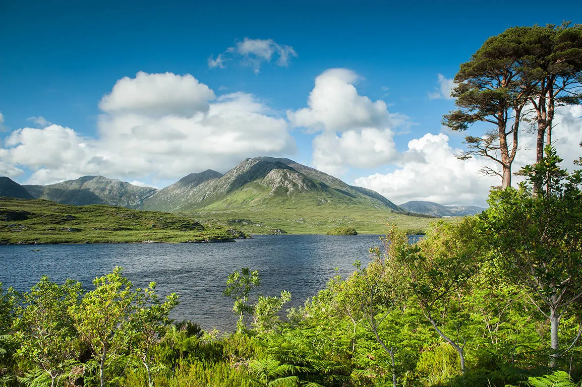 Online bestellen: Ierland, 40 tinten groen