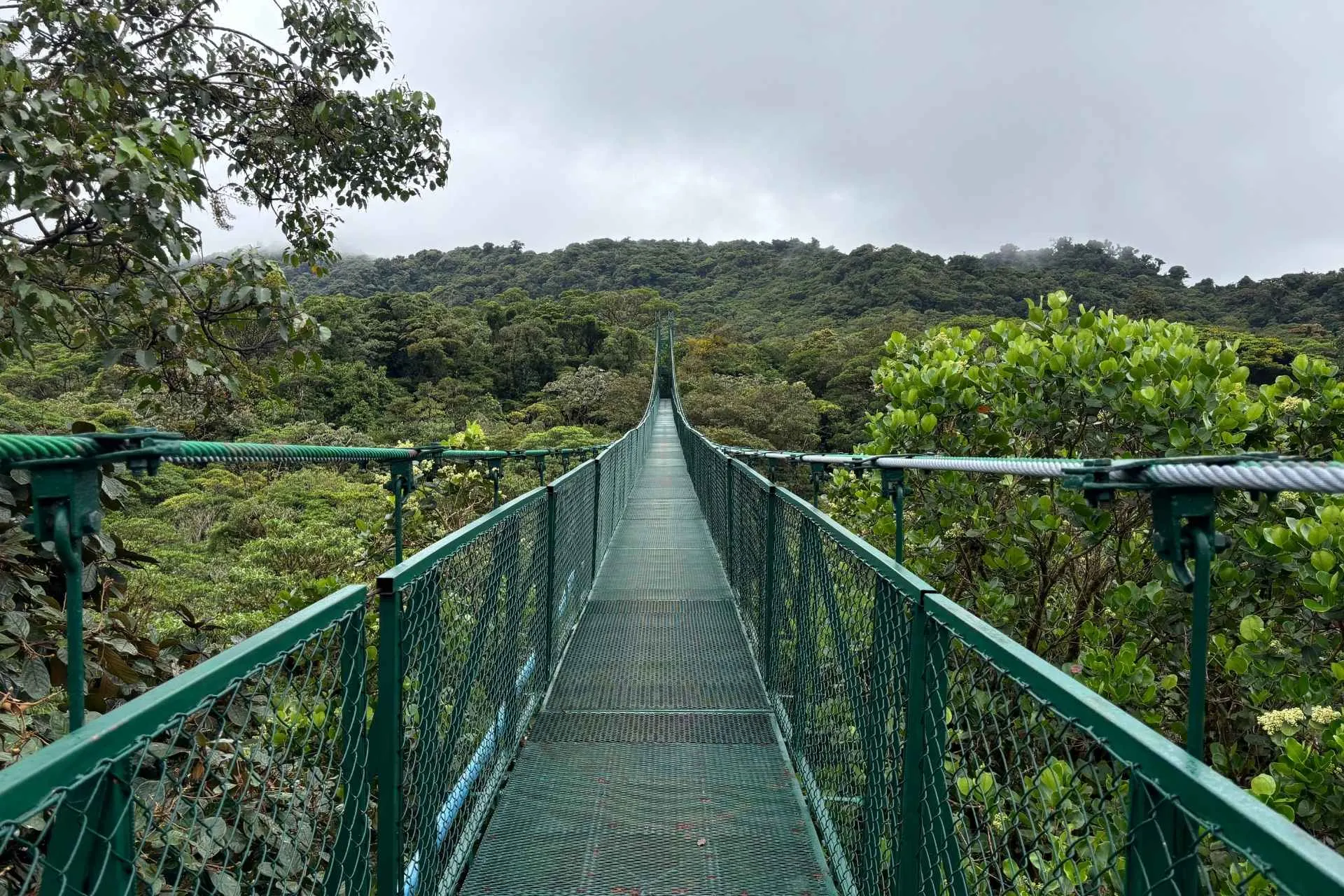 Brug in het bos, Costa Rica tijdens studiereis Costa Rica | de Jong Intra Vakanties
