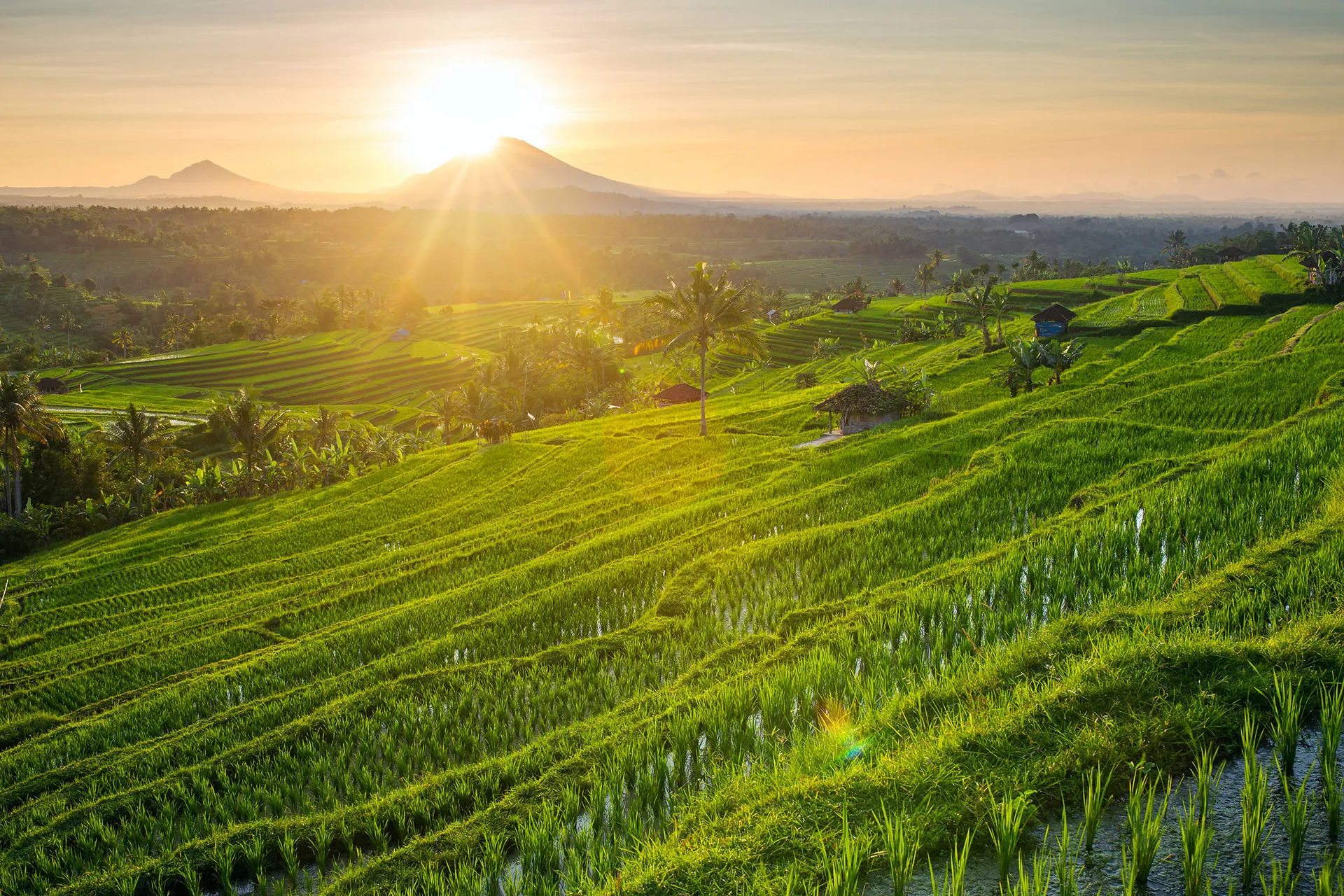 Bali en Gili op het gemak
