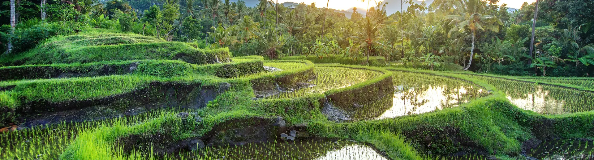 Vakantie-Indonesie