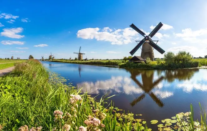 Blog Nederland