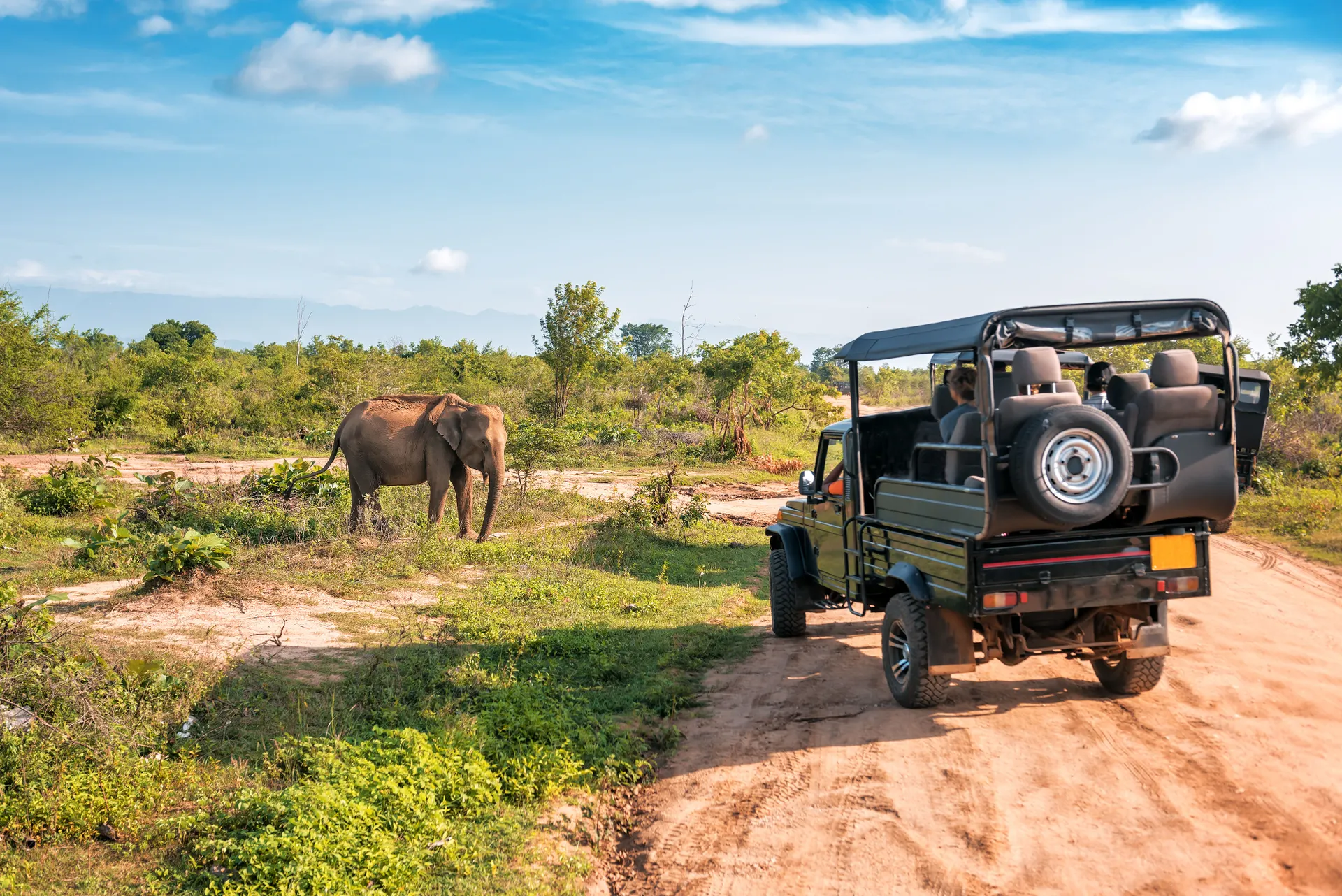 Serengeti