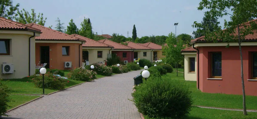 Voorbeeld type Oleandro 3