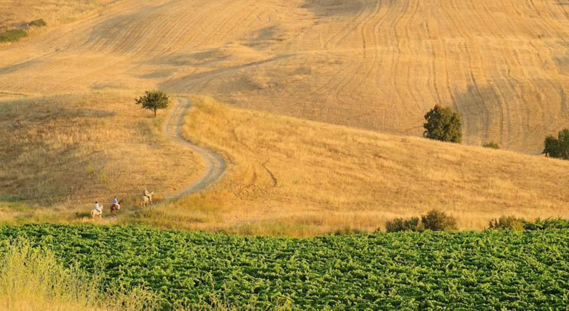 Omgeving