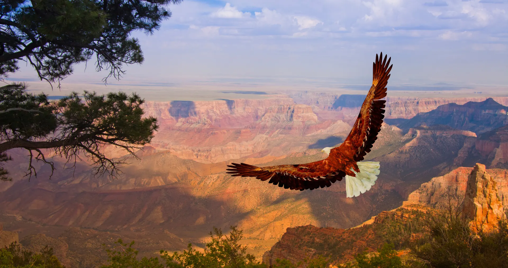 Verre reizen hoofbeeld USA