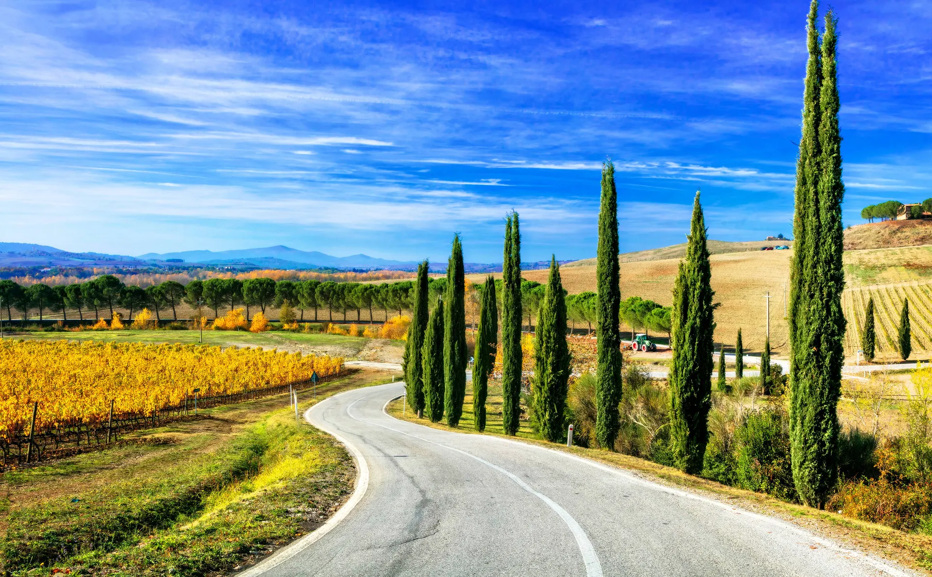 Chianti Toscane