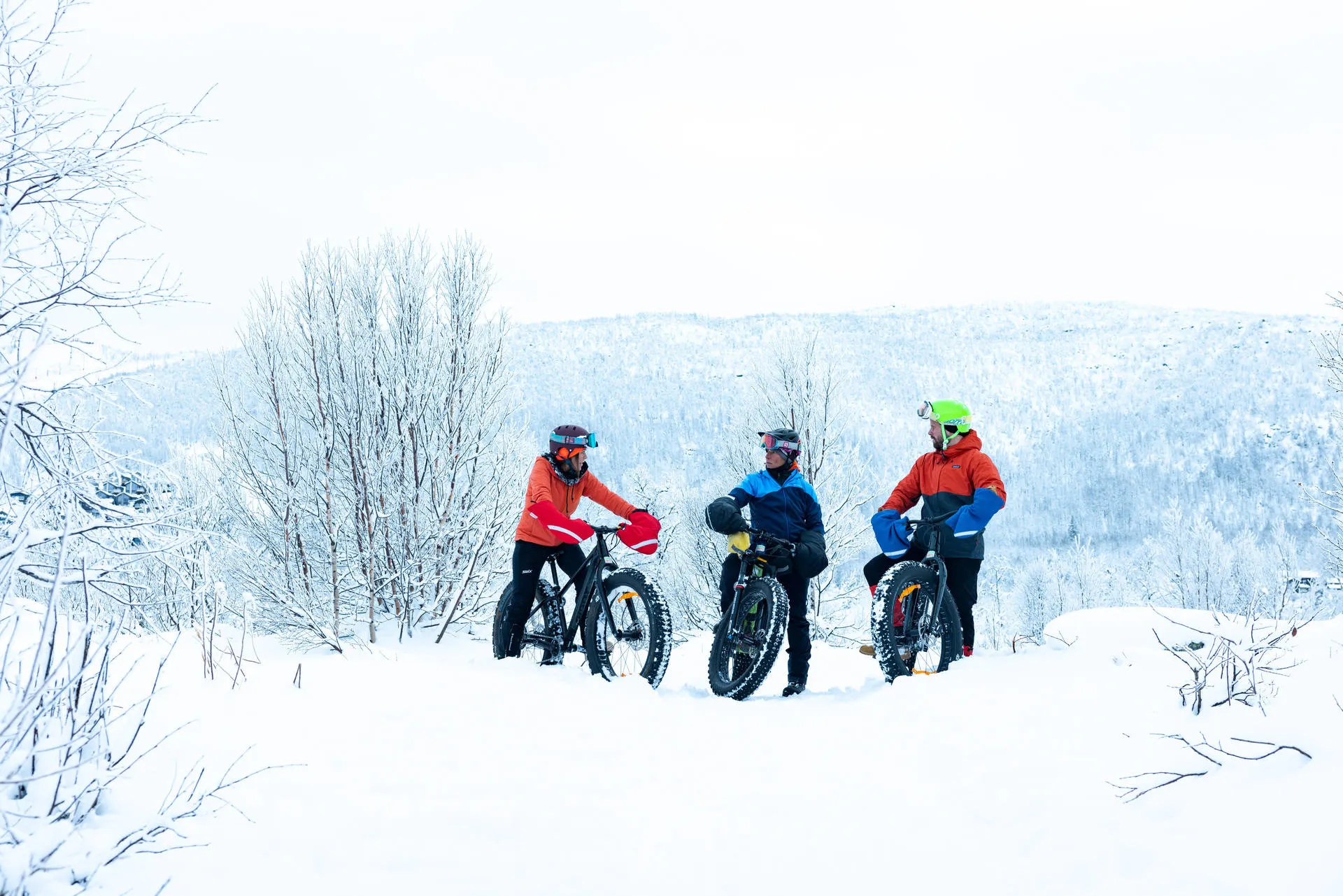 Fatbikes - Foto: Paul Lockhart