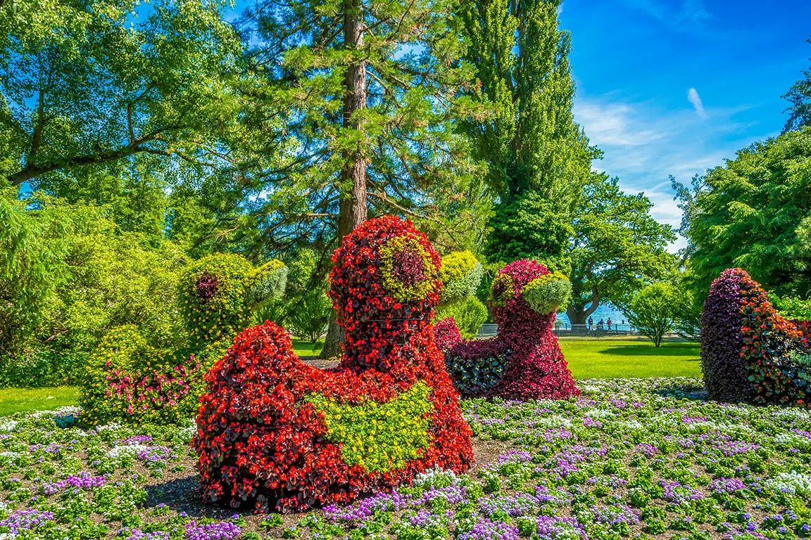 mainau