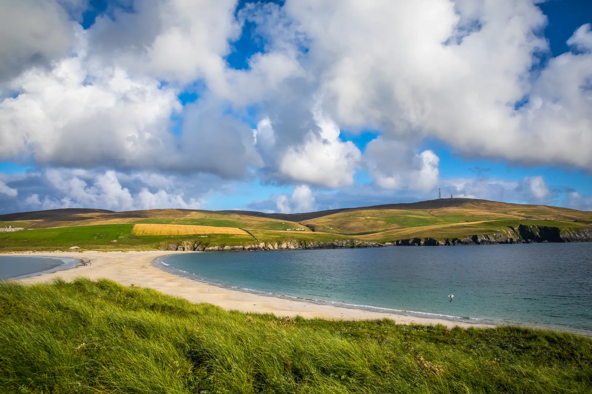 Orkney en Shetland Eilanden.