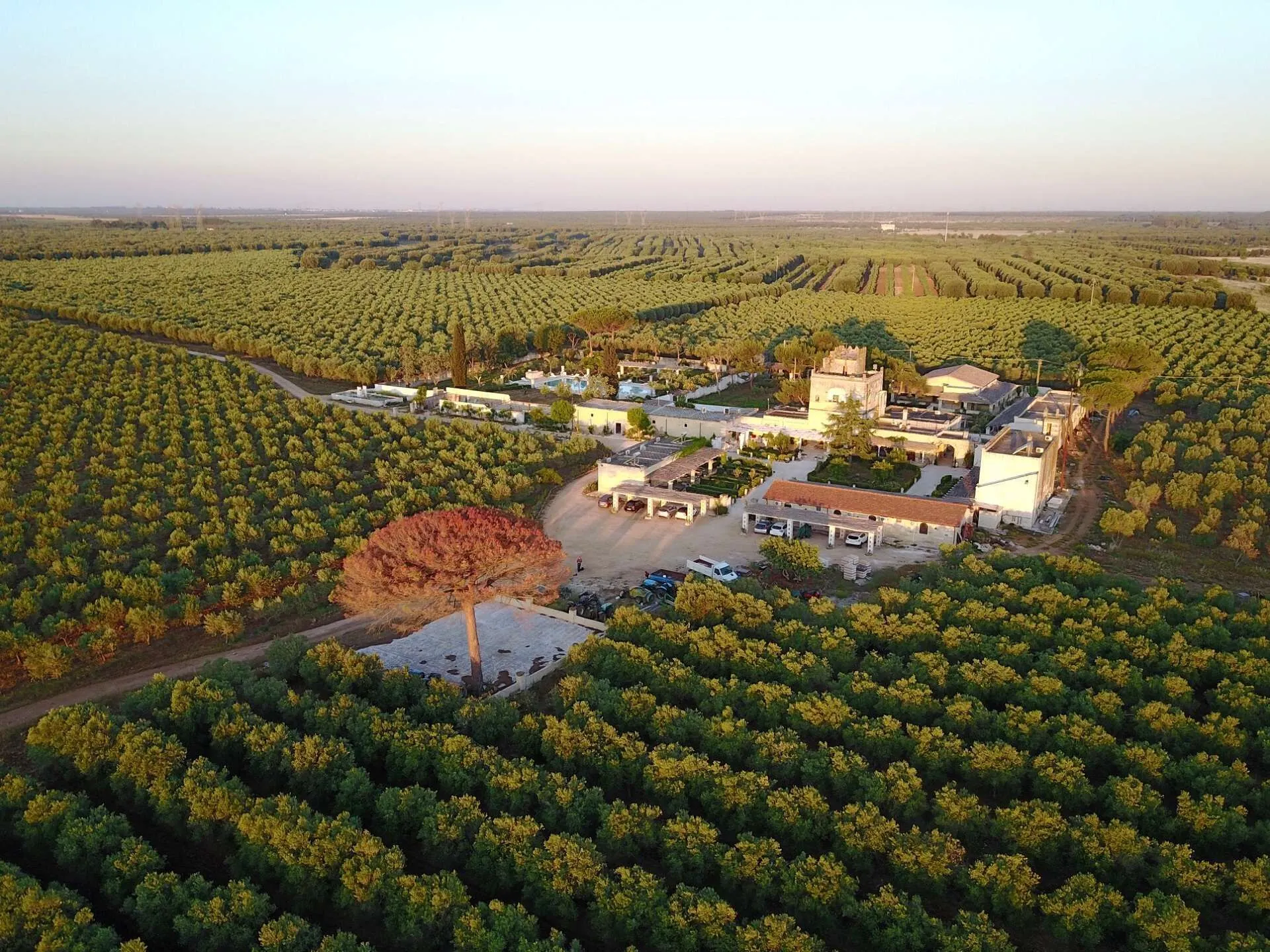 Agriturismo Tenuta Mazzetta.