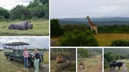 Zuid-Afrika Game Reserve