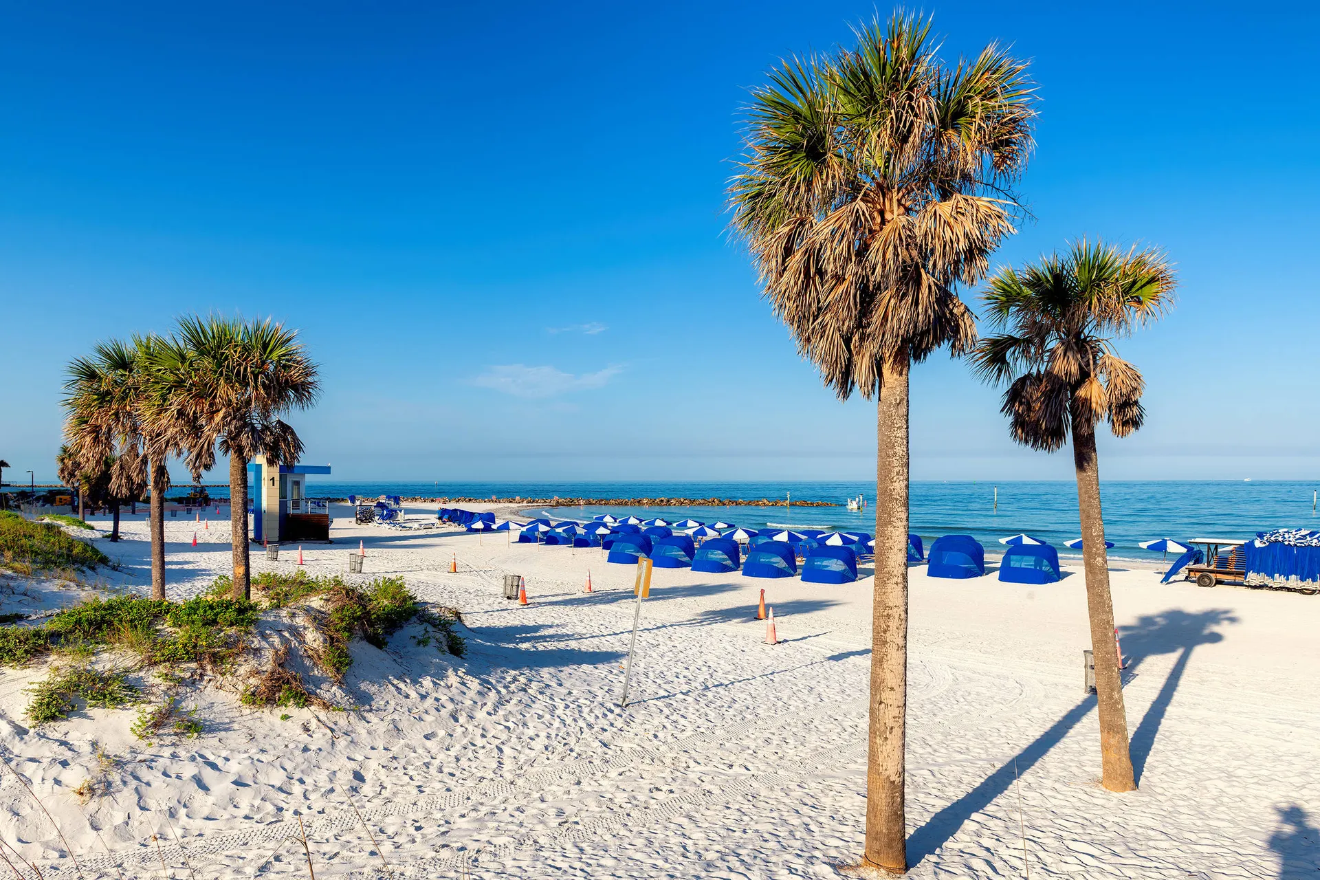 Online bestellen: Florida Fantastic