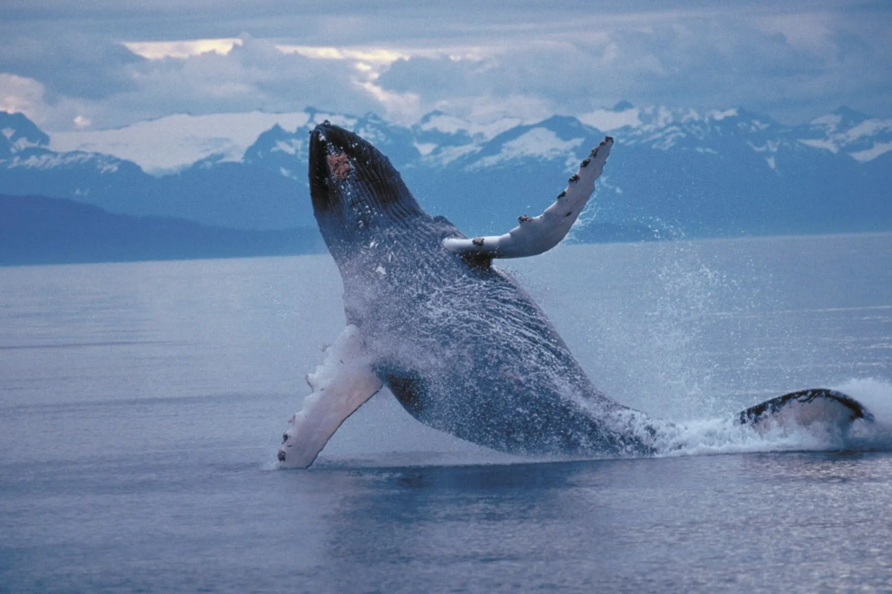 Alaska & Yukon Highlights.
