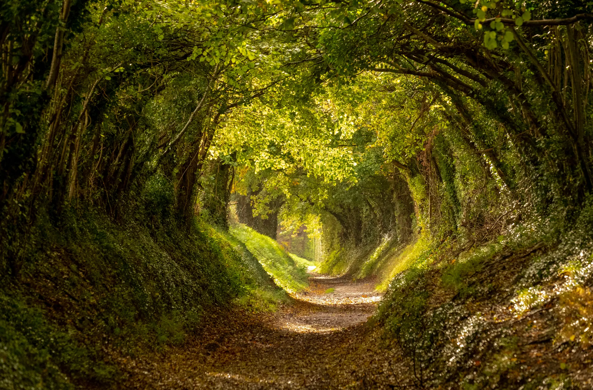Chichester - AdobeStock 300499821