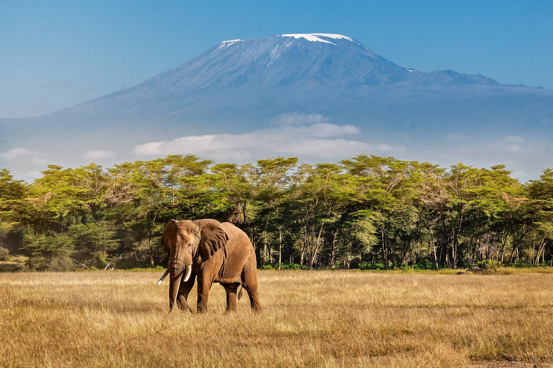 Ontdek Tanzania