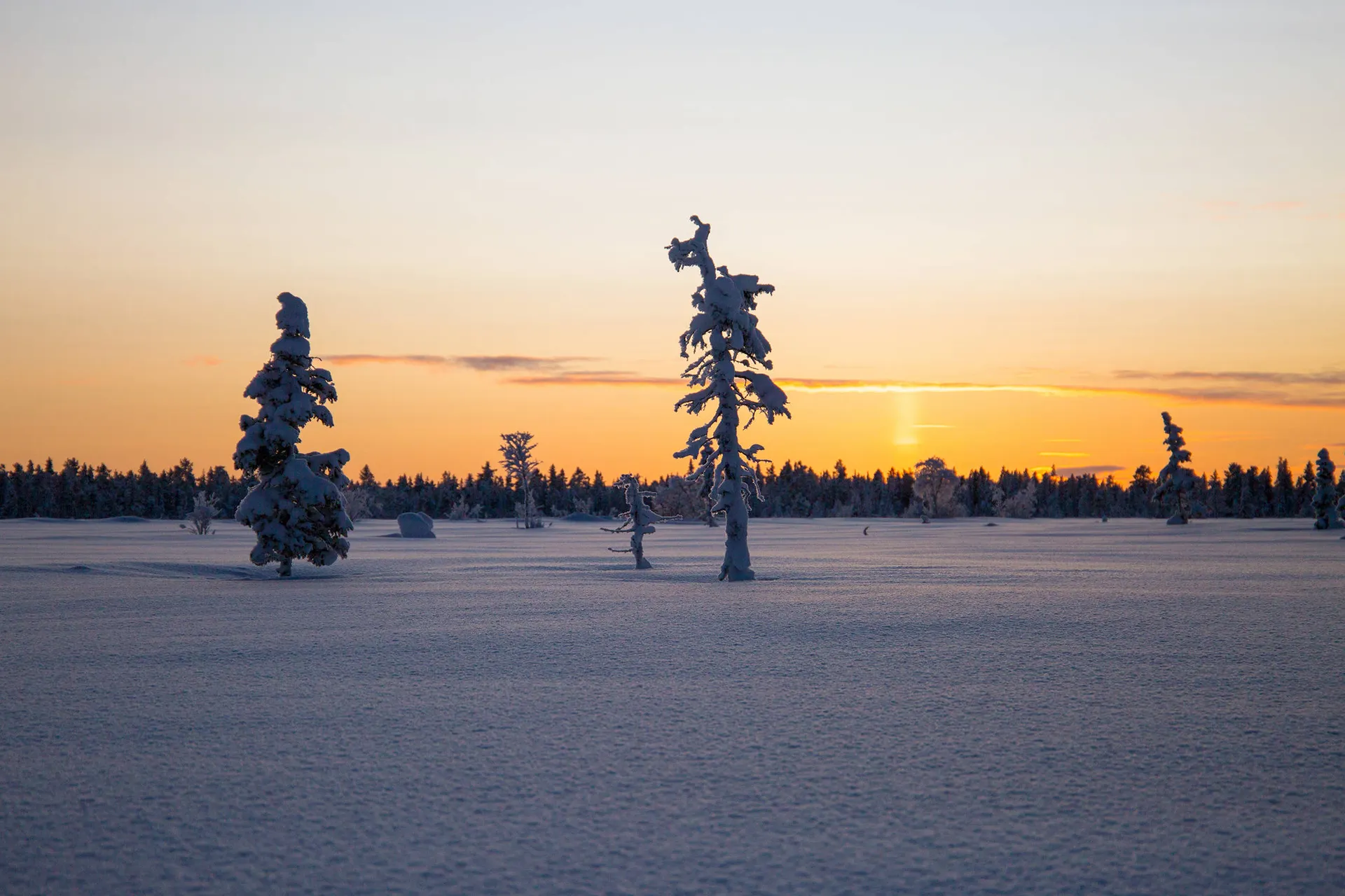 Onderweg naar Kiruna