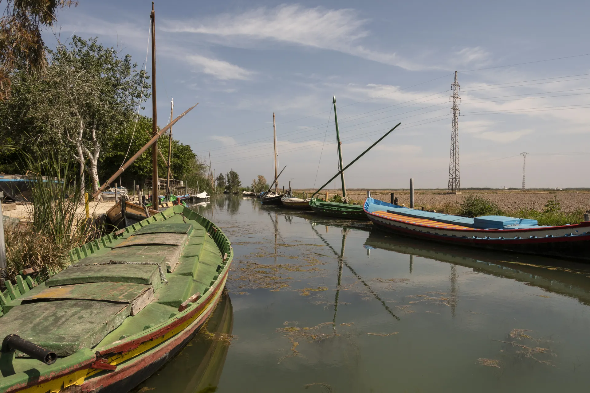 Stedentrip Valencia, Albufera Park, Valencia, Spanje | de Jong Intra Vakanties