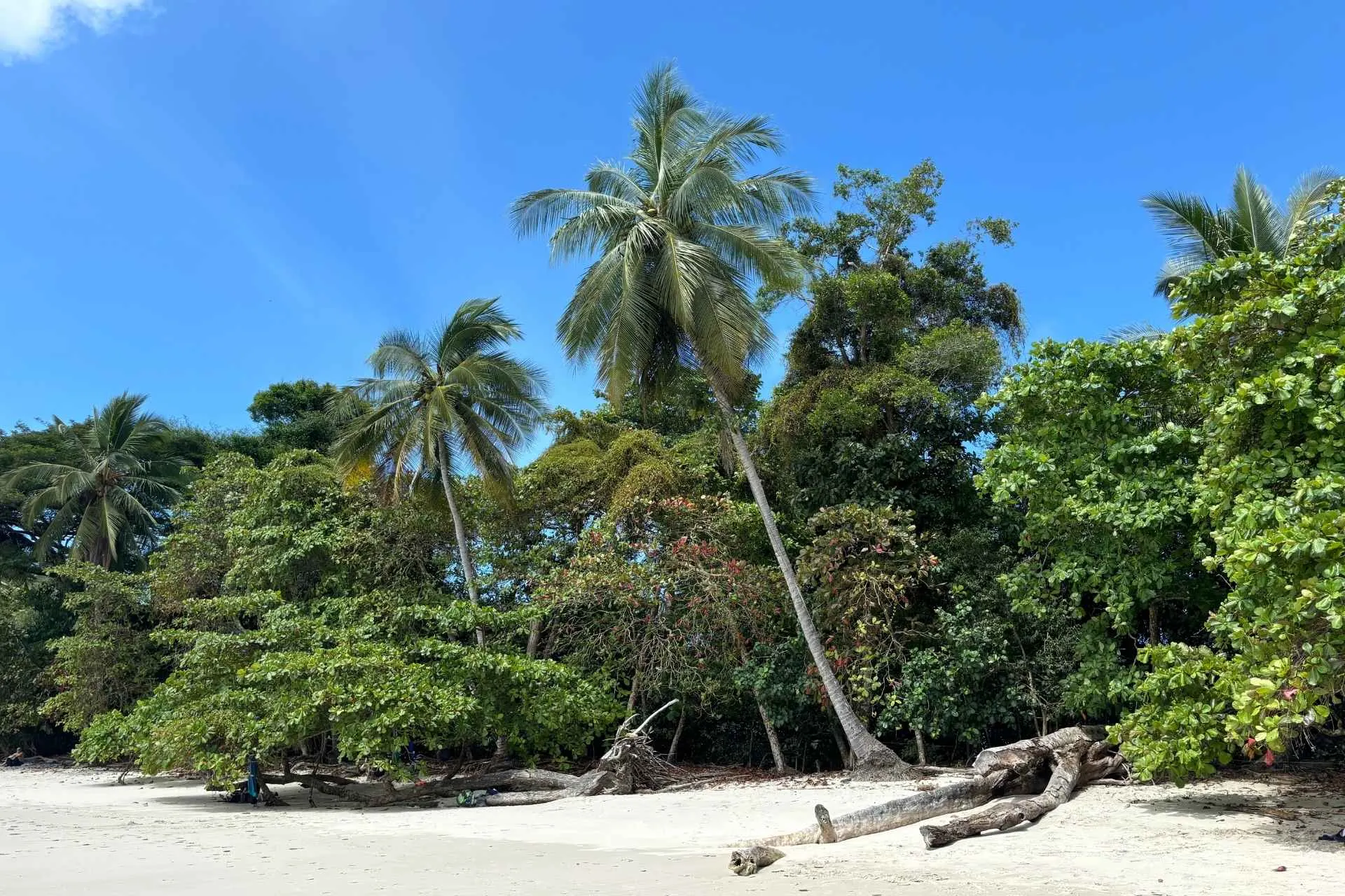  Strand in Costa Rica tijdens studiereis Costa Rica | de Jong Intra Vakanties