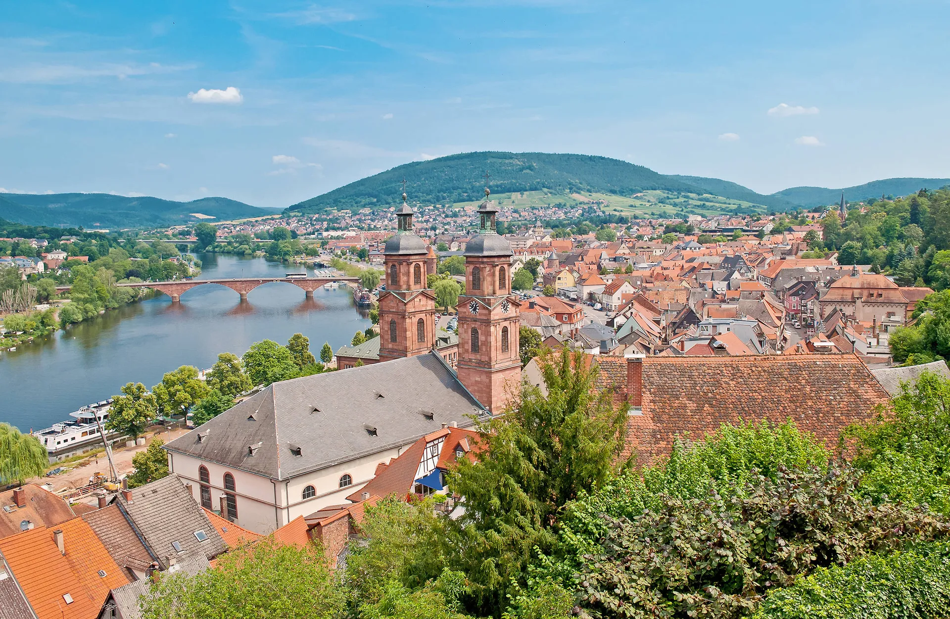 Online bestellen: Door het romantische Rijndal naar Mainz