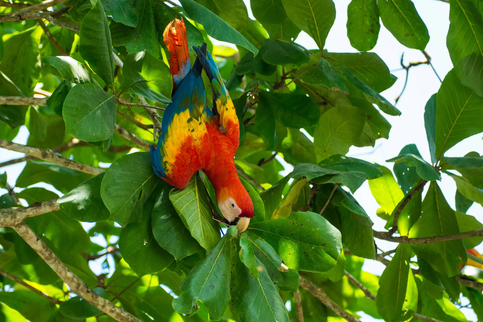 Ontdek Costa Rica