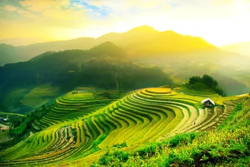 Chiang Mai