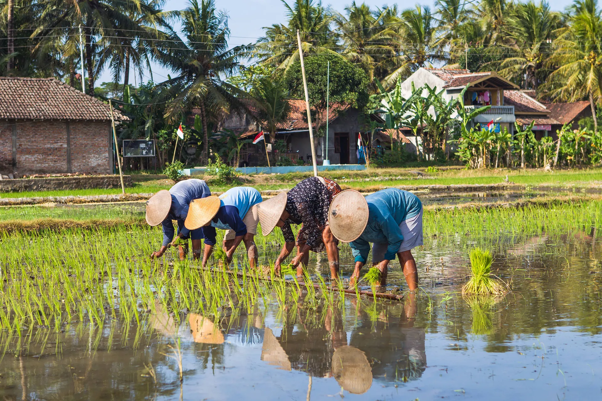 De verborgen schatten van Java en Bali