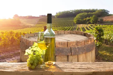 De Chianti streek voor wijnliefhebbers - AdobeStock_434484474