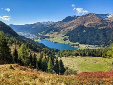 Davos