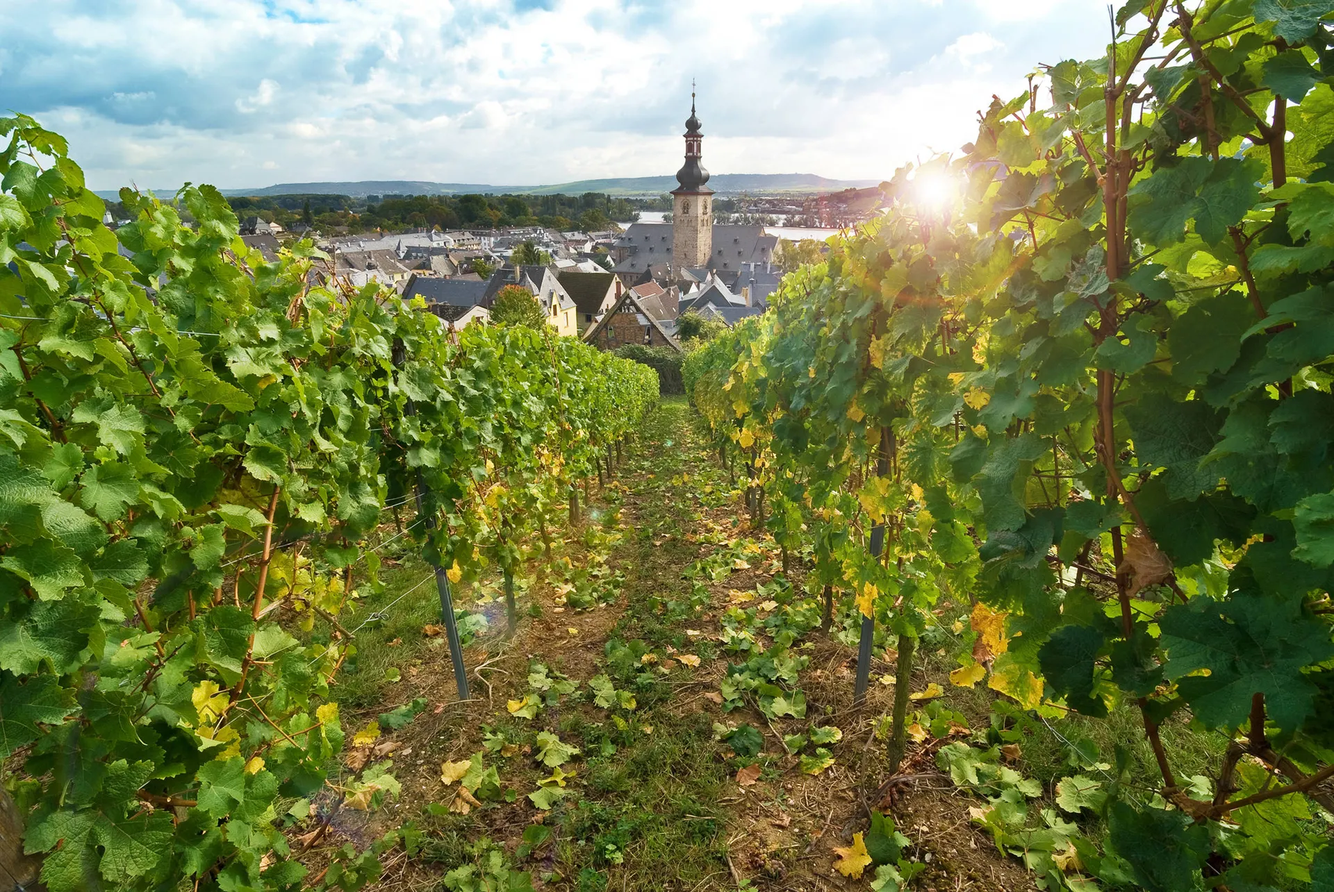 Over de Rijn naar Rüdesheim