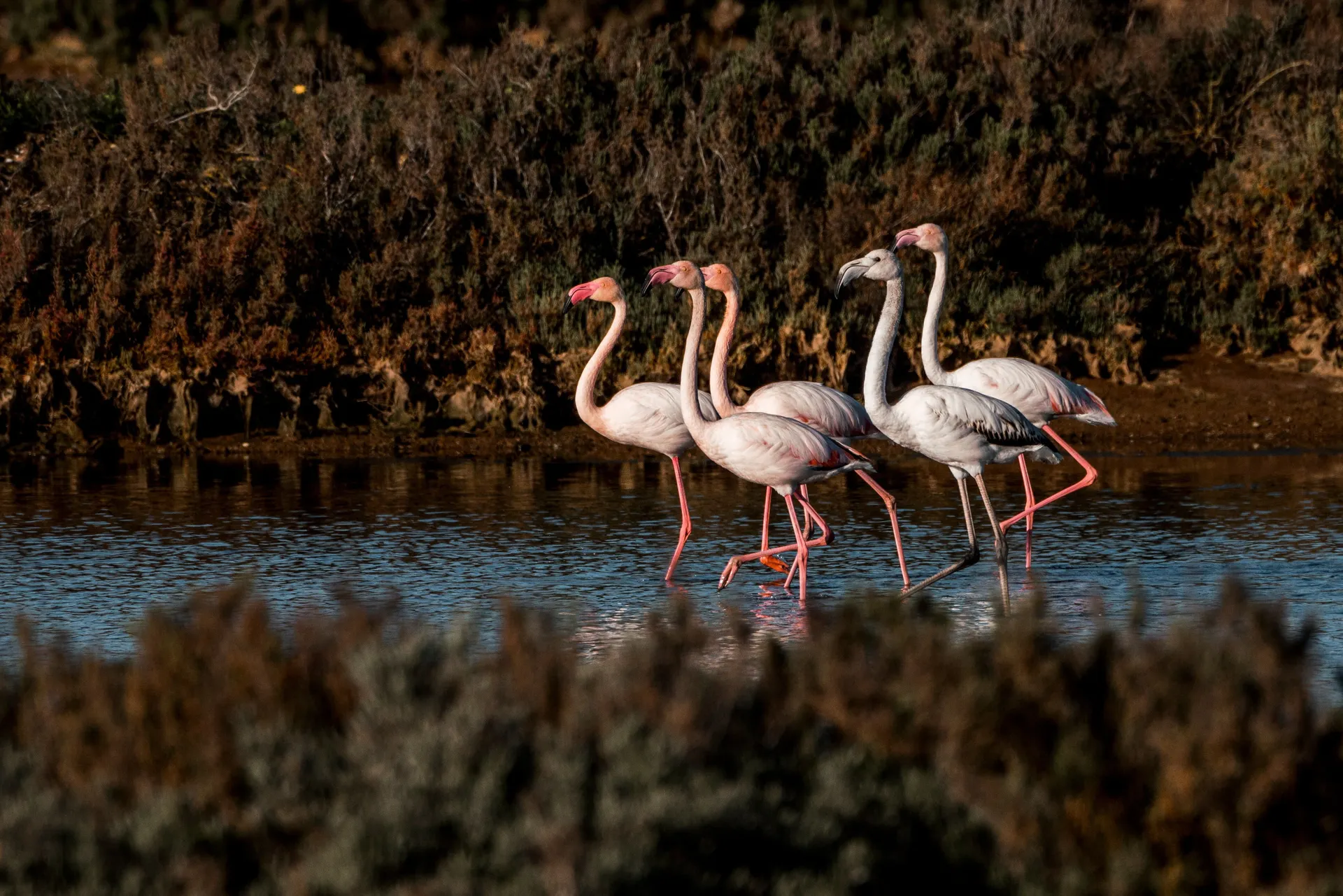 Ria Formosa