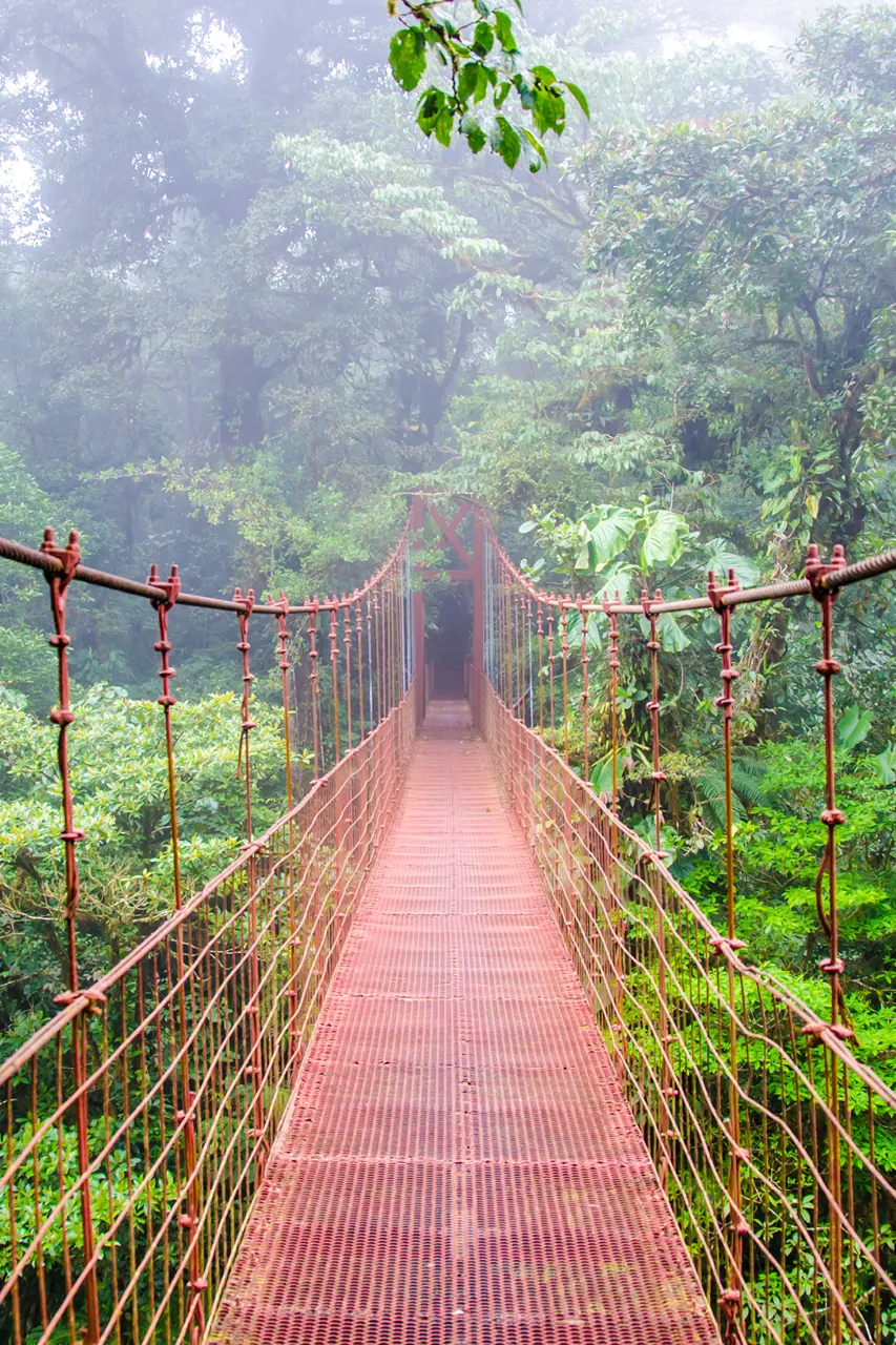 Costa Rica, rondreis Costa Rica | de Jong Intra Vakanties
