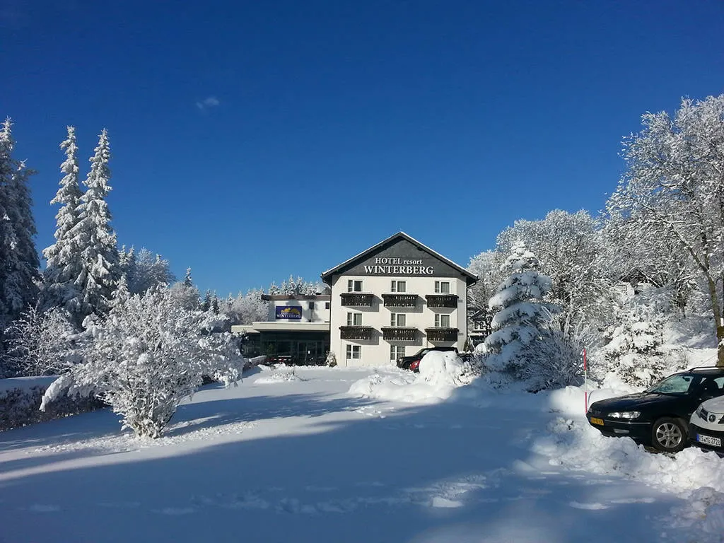 Online bestellen: Winterberg Resort