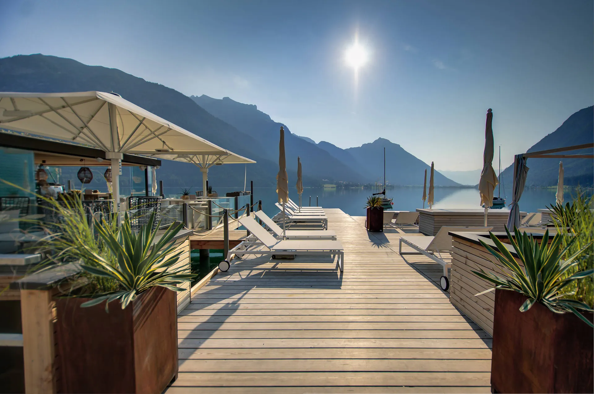 Terras