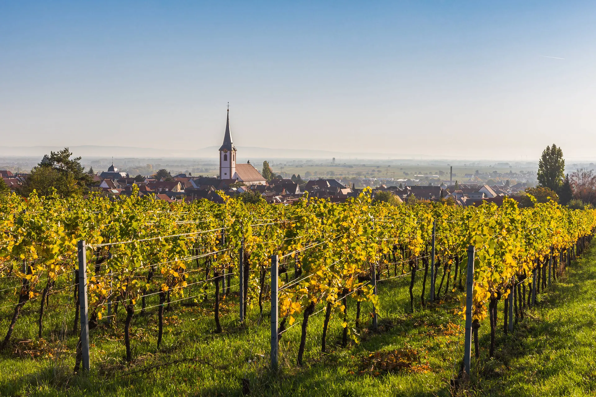 Ontdek de Duitse Wijnroute vanuit Bad Dürkheim