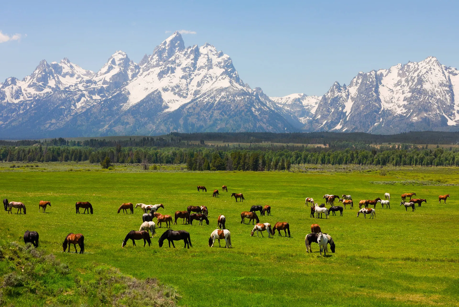 Online bestellen: Wyoming's Wind River Country