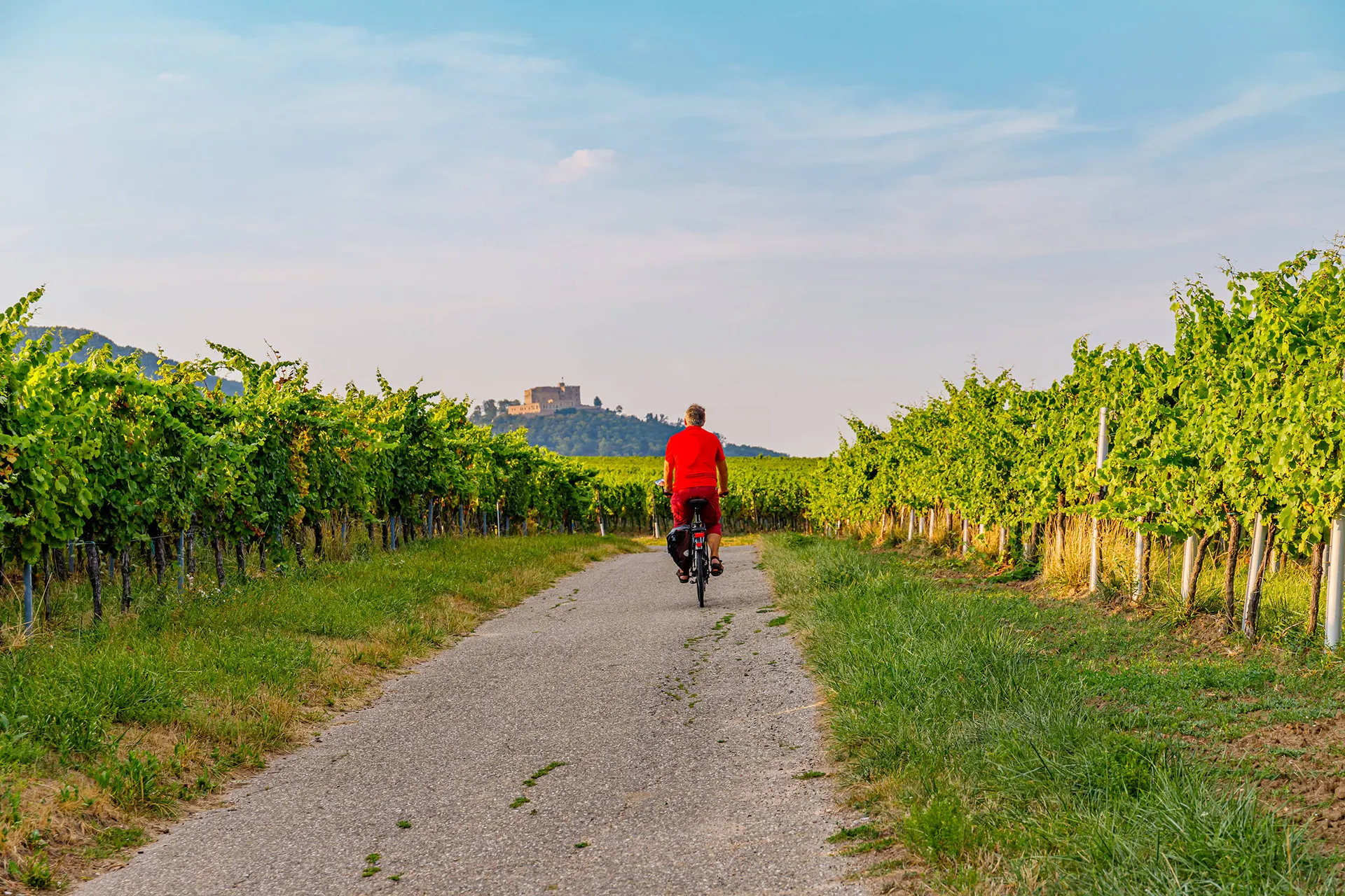 Fietsen langs de Duitse Wijnroute