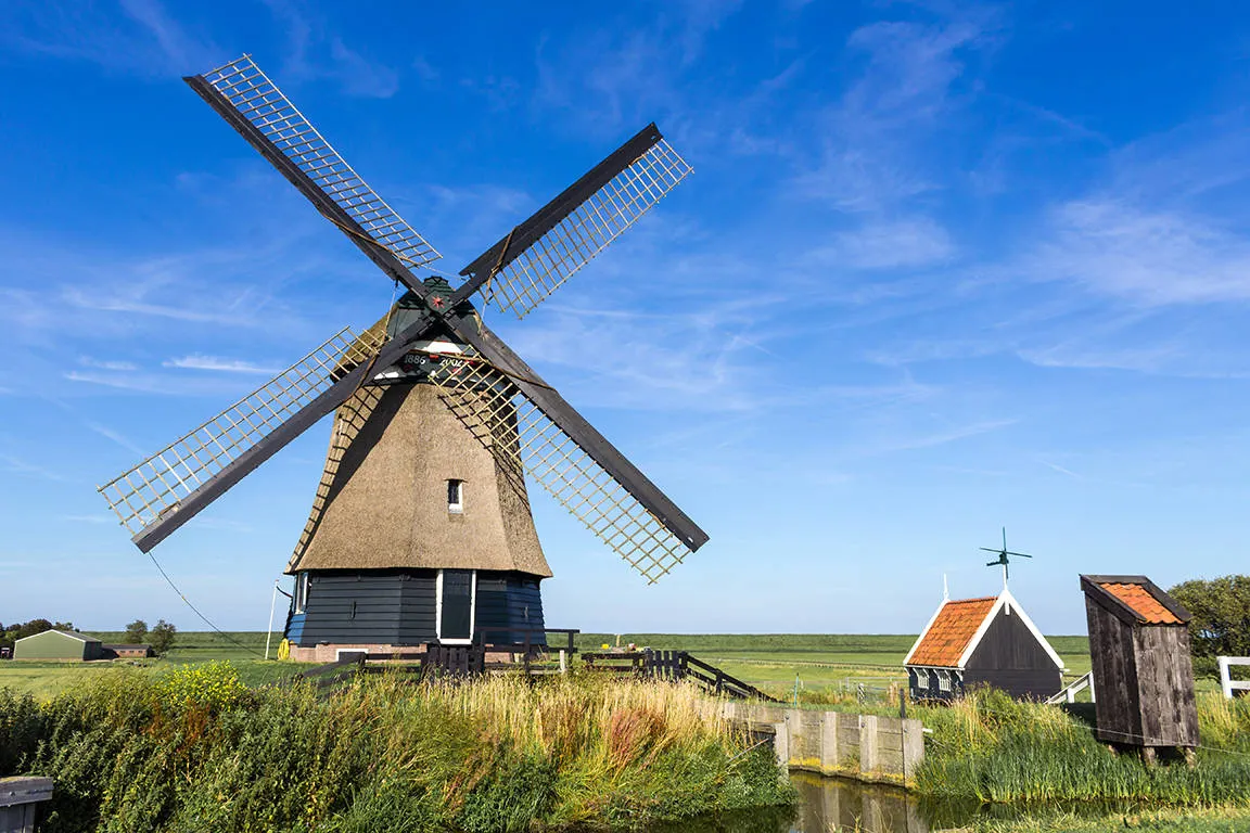 Hoorn