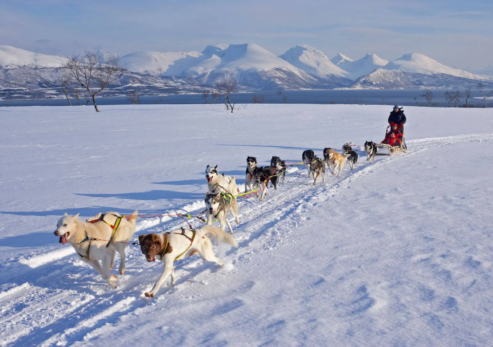 5-daags Winteravontuur Tromsø