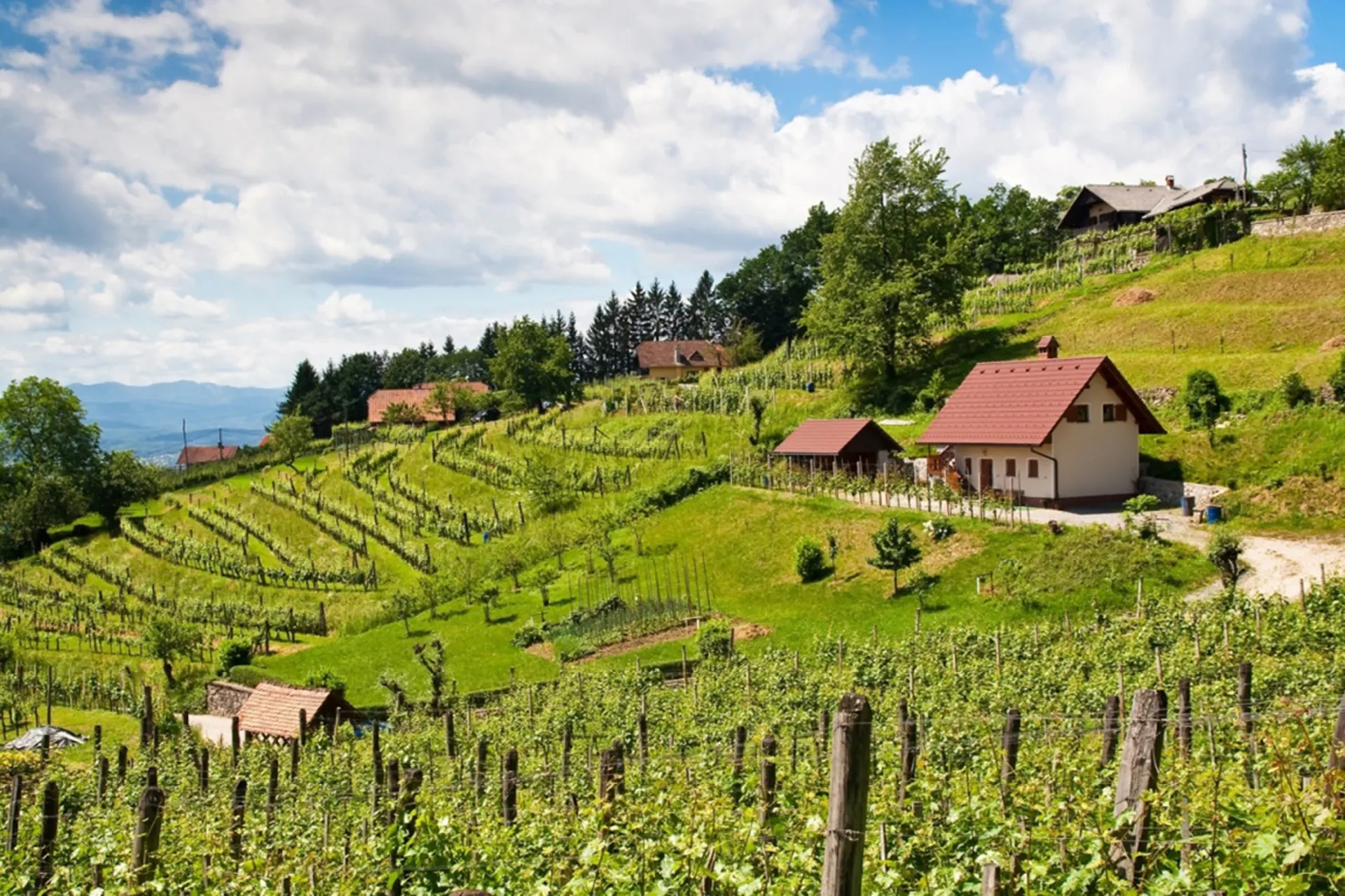 Campings Slovenië
