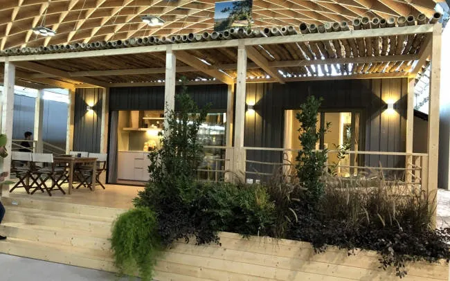 Voorbeeld Mirage Forest