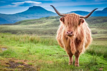 Highlander op Isle of Skye