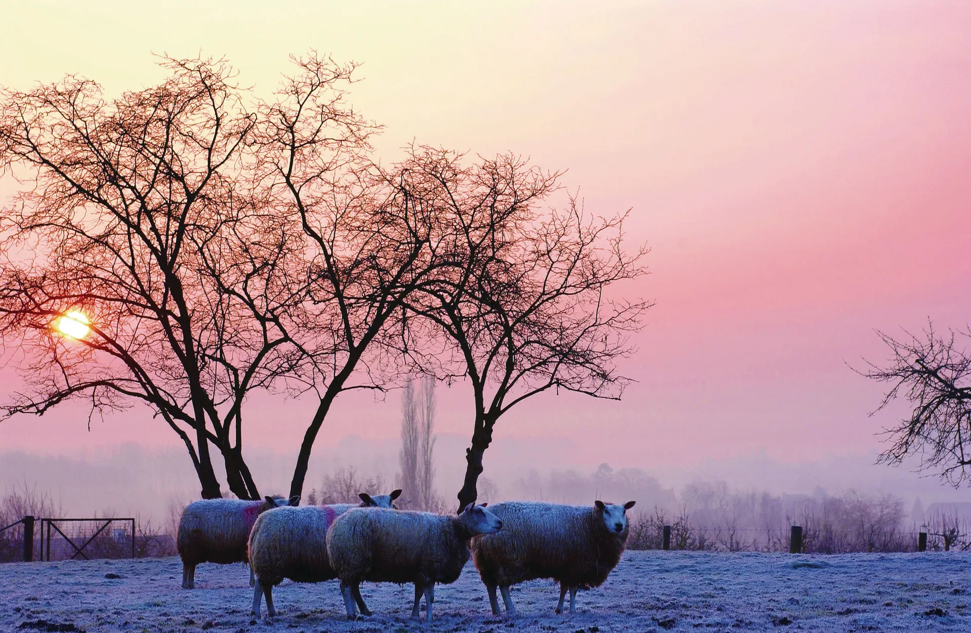 Kerst in Zuid-Limburg, Slenaken afbeelding 2