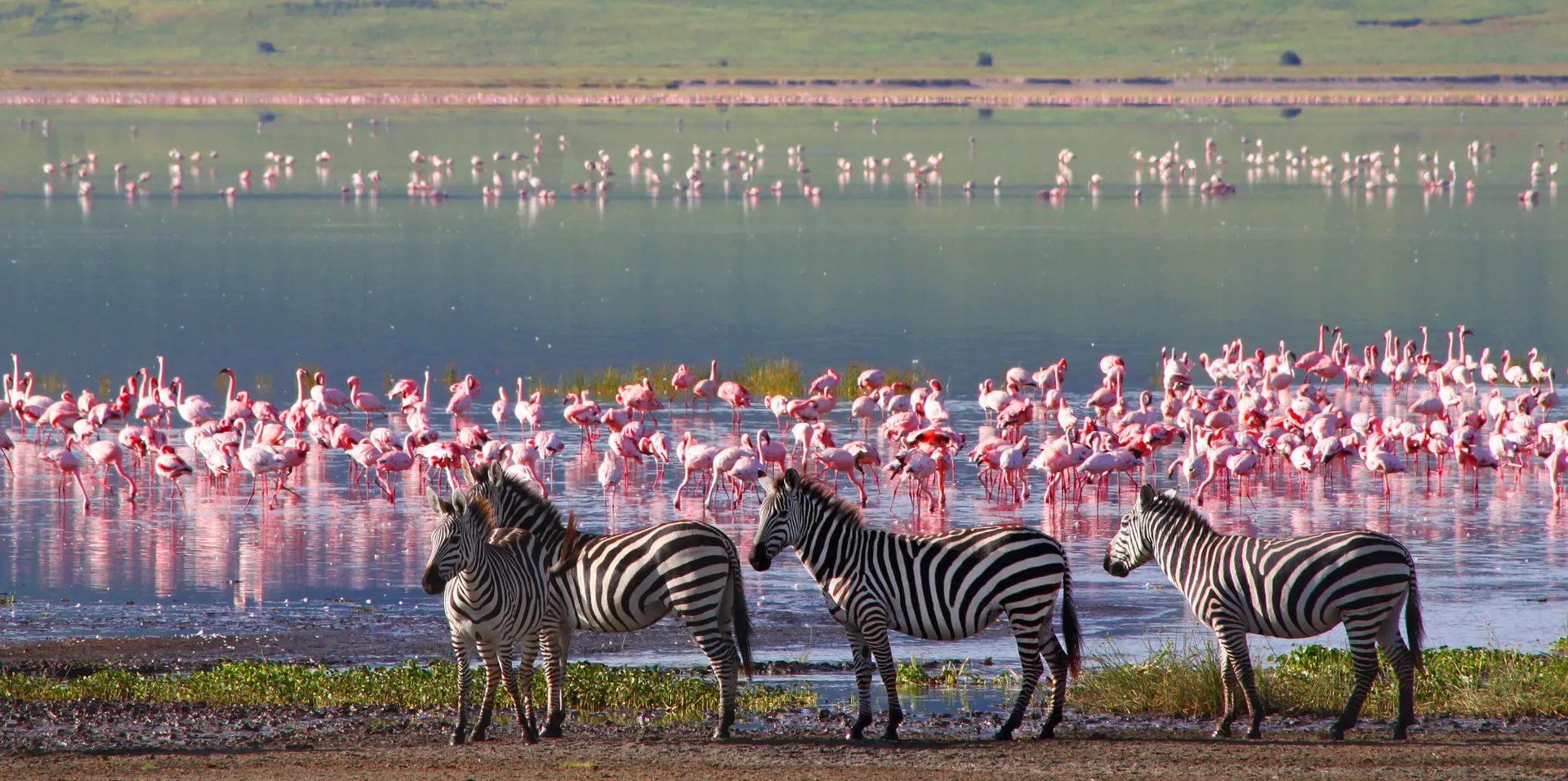Lake Manyara National Park