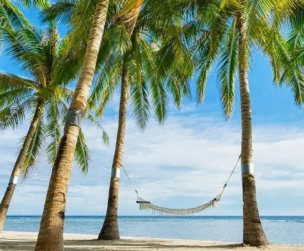 Last minute zonvakantie