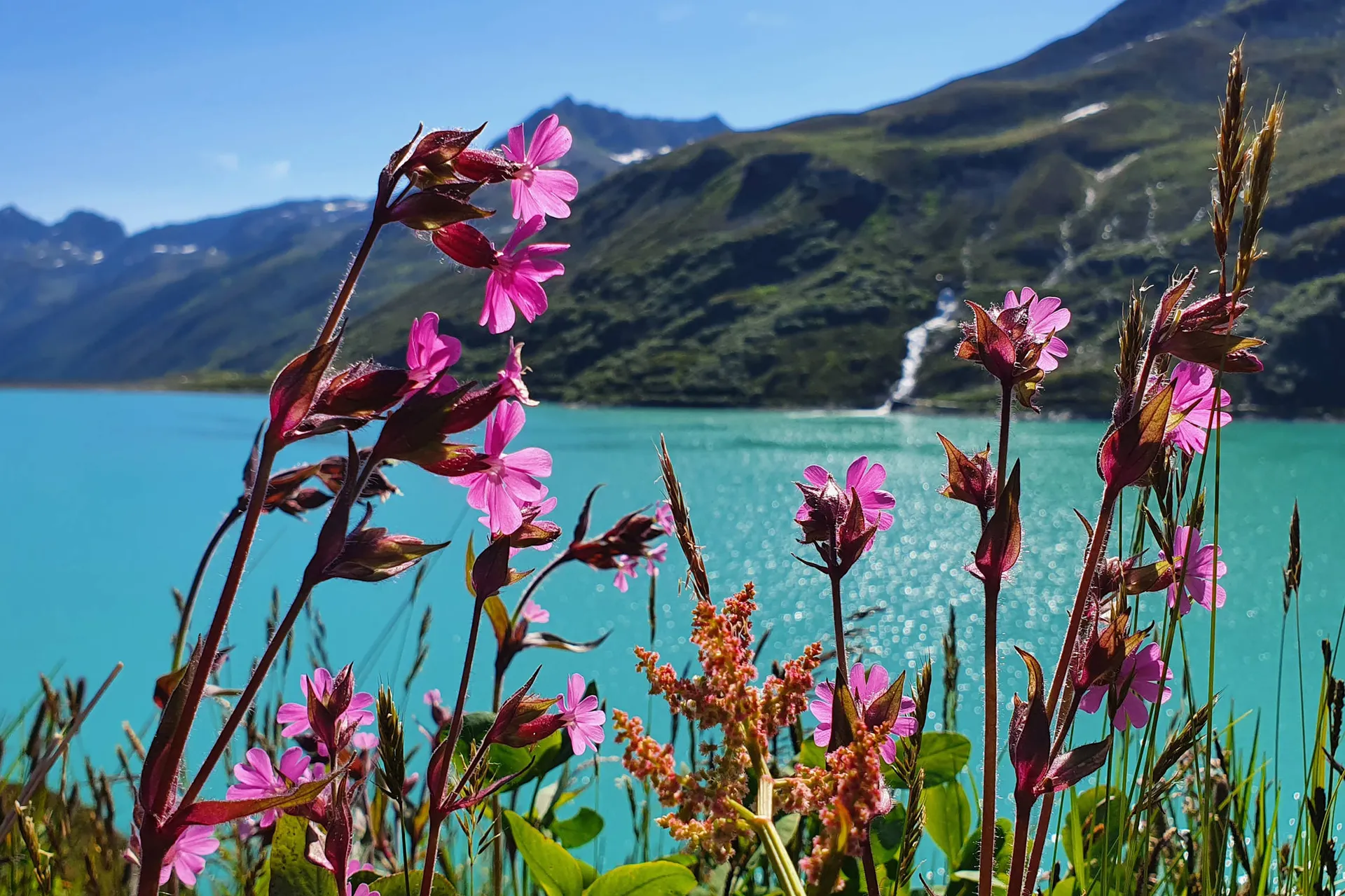 Vorarlberg - Silvretta