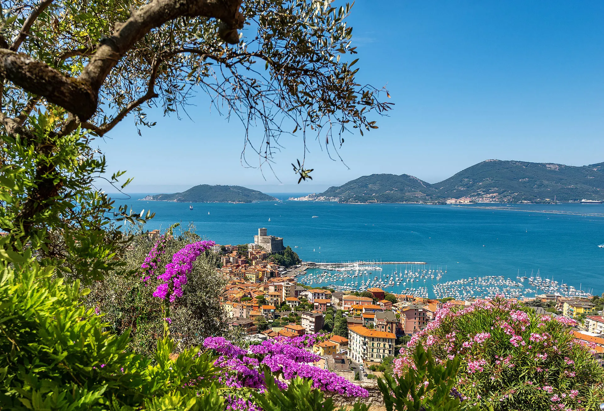 Lerici